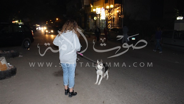 بالصور.. في 10 مشاهد.. الكلاب أفضل الأصدقاء أحيانا