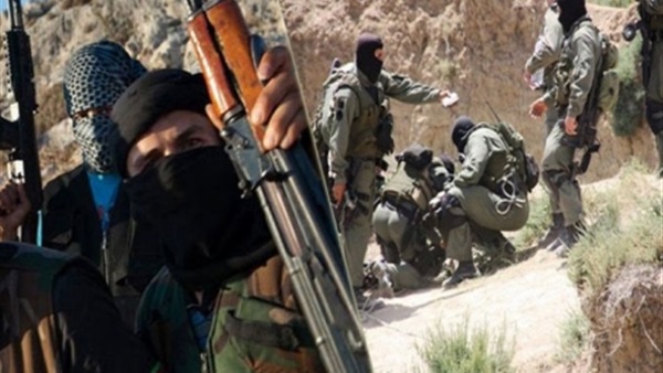 حصاد.. بالأسماء أبرز تصفيات العناصر الإرهابية في 2015