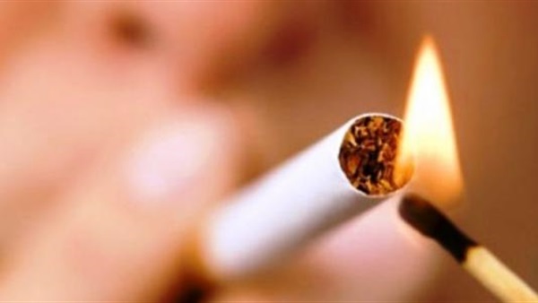 التدخين يؤثر ايضا.. على الحيوانات المنزلية