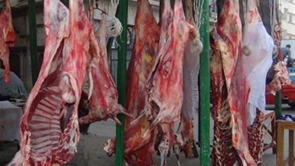 سلخانة الصرف الصحي بطما تنشر الأوبئه والأمراض