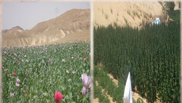 بالصور.. القوات المسلحة تنشر أبرز جهودها في عام 2015