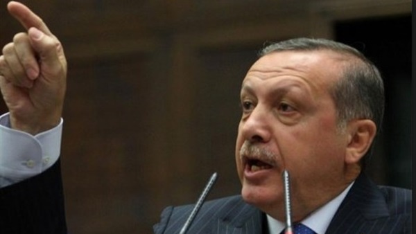 أردوغان: الإعدامات في السعودية شأن داخلي