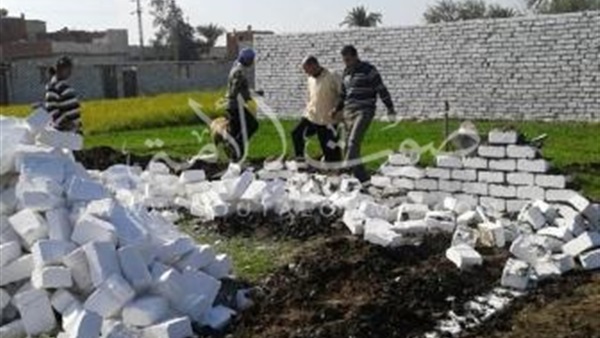 بالصور.. نائب رئيس مدينة يزيل تعديات على أرضي زراعية ببني سويف "يدويا "