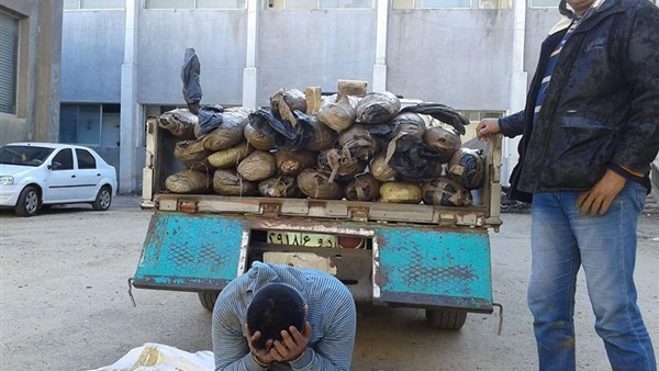 «مكافحة المخدرات» تضبط ٦٠ كيلو بانجو بالدقهلية 