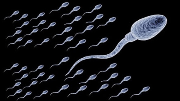 أفضل النصائح التي تزيد من نشاط الحيوانات المنوية