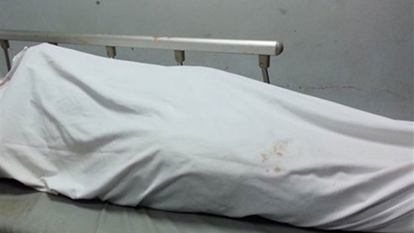 مصرع ربة منزل بحادث تصادم بزراعي البحيرة