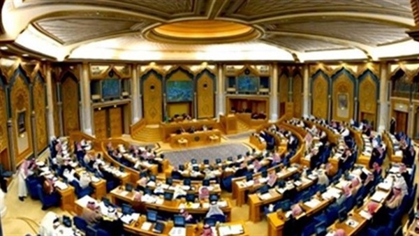 نائب حدائق القبة: أؤيد قرار عدم بث جلسات المجلس 