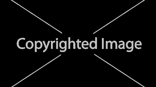 "Watermark" برنامج يحفظ حقوق الصور بعلامة مائية