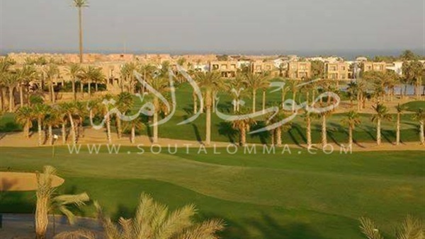 غدا.. انطلاق منافسات الجولة الأولى لبطولة الجولف بالعين السخنة